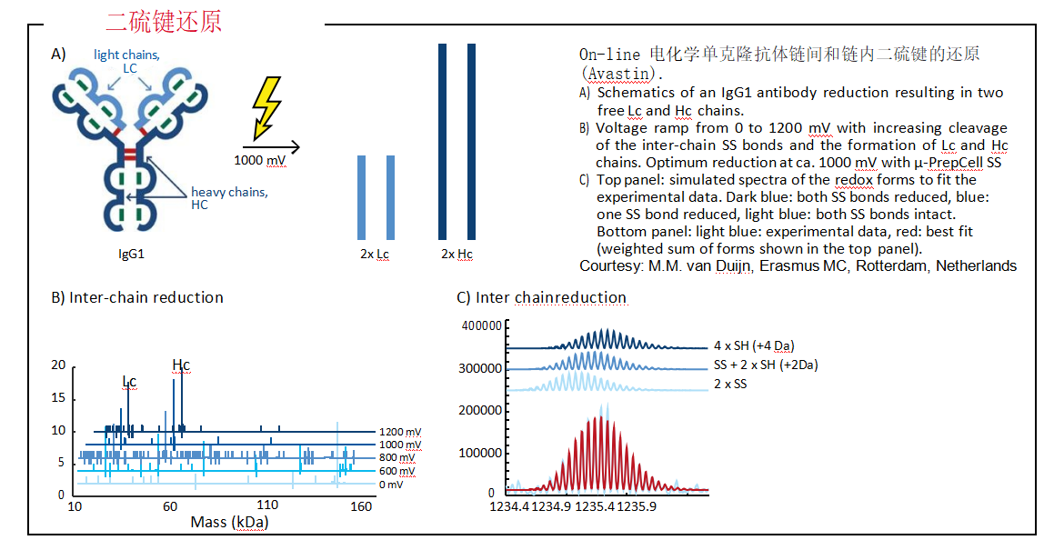 藥物代謝電化學模擬系統